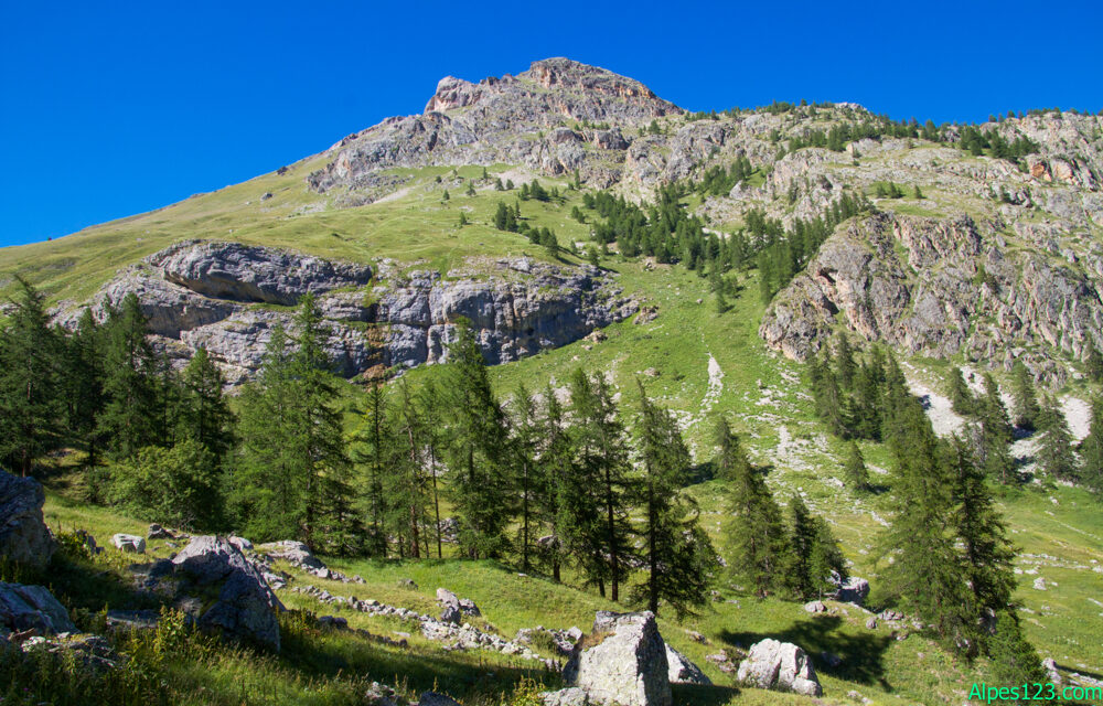 Cime de la Condamine ou la Rouya (2940m) 