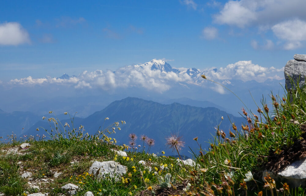 Le Mont Trelod