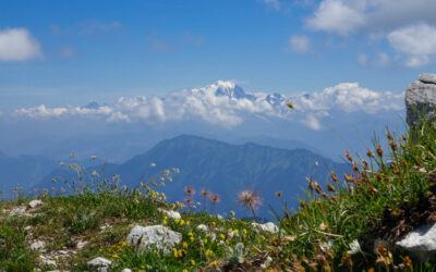 Le Mont Trelod