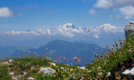 Le Mont Trelod